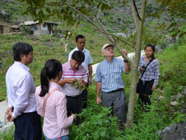 河池市人民政府市長助理、市核桃辦第一主任賴家業在鳳山縣金牙鄉陪同考察