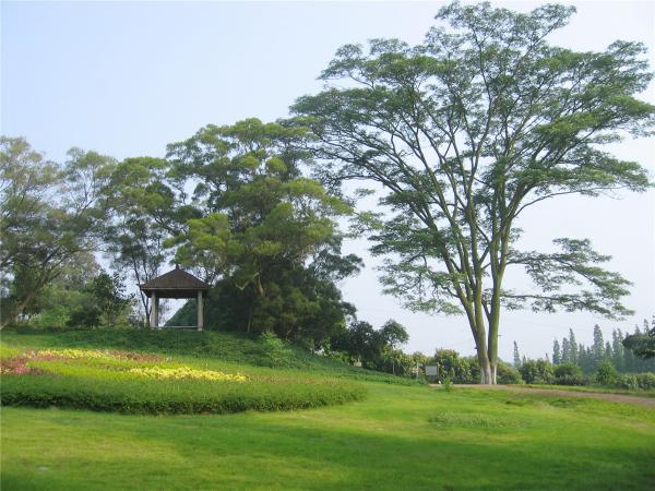 植物園區(qū)風(fēng)景