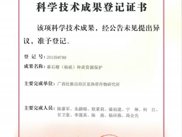 番石榴（楊桃）種質(zhì)資源保護(hù)成果登記證書