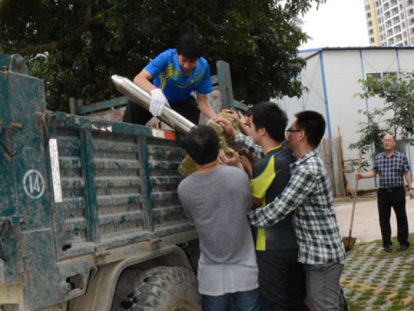 黨員合力將水泥石塊搬上垃圾裝運(yùn)車