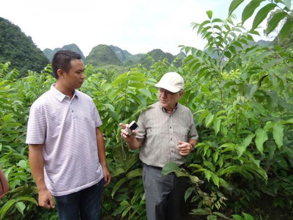 David-教授考察鳳山縣核桃種苗繁育基地